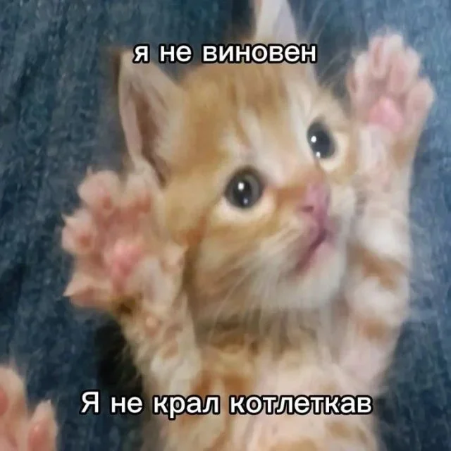 Утренний заряд смеха: мемы на 4 октября Утренний заряд смеха: мемы на 4 октября мемы, юмор, картинки, приколы, смешное