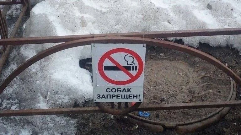 18 картинок, от которых вы засмеётесь в голос
