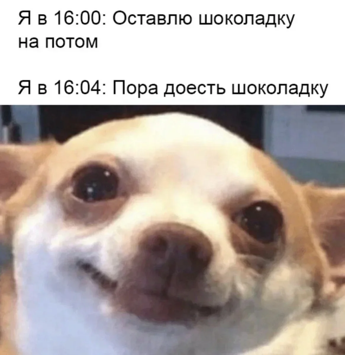 Мемы дня: узнай себя на этих картинках Мемы дня: узнай себя на этих картинках мемы, юмор, картинки, смешное, подборка