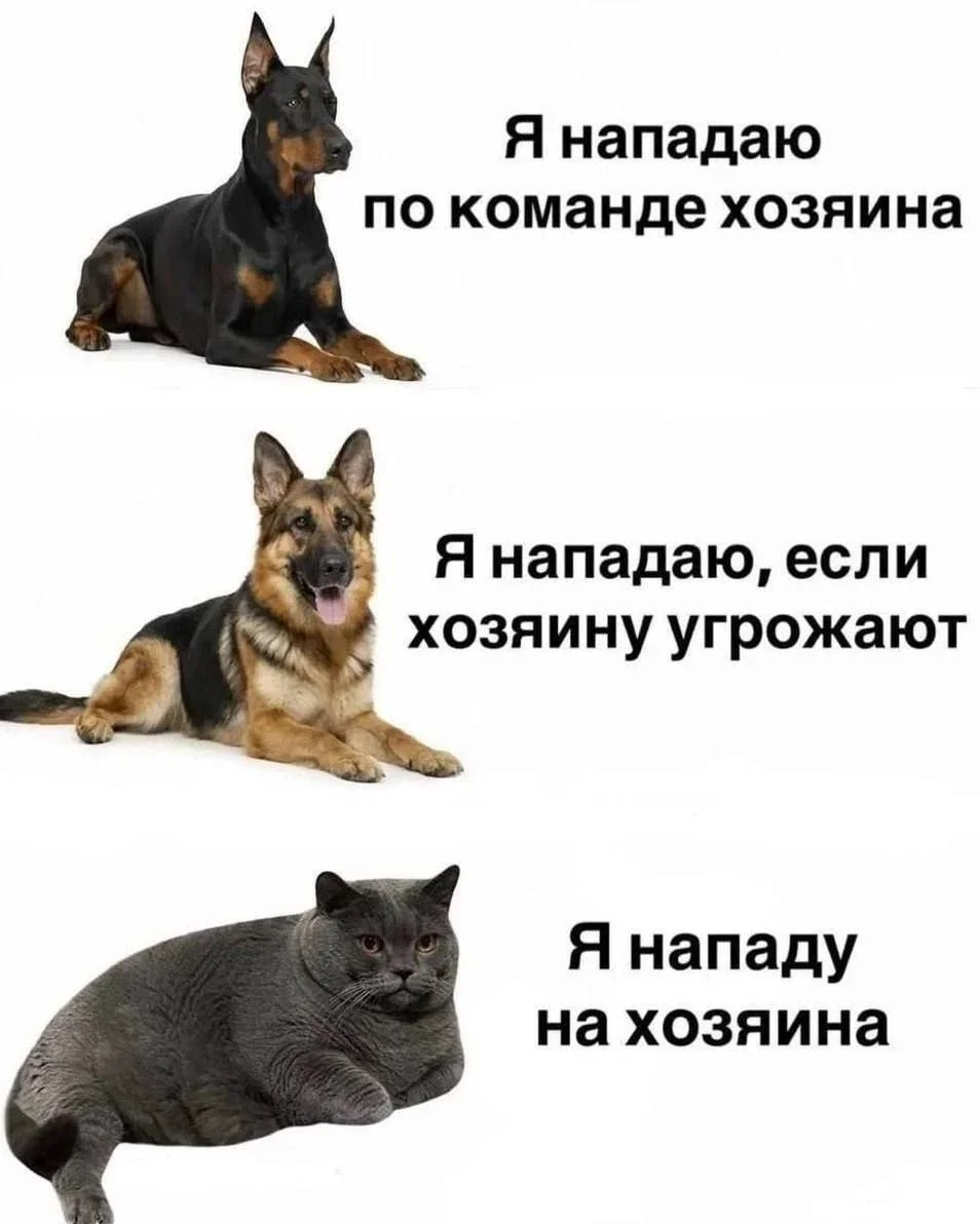 Улыбнись: лучшие мемы недели Улыбнись: лучшие мемы недели юмор, мемы, приколы, картинки, подборка