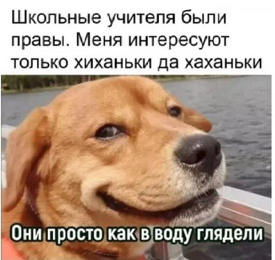 Мемы про учителей, которые поймет каждый мемы, учителя, школа, юмор, картинки, приколы, день учителя