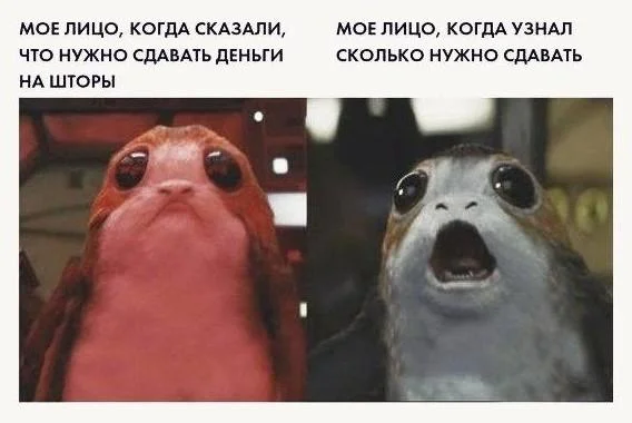 Мемы про учителей, которые поймет каждый мемы, учителя, школа, юмор, картинки, приколы, день учителя