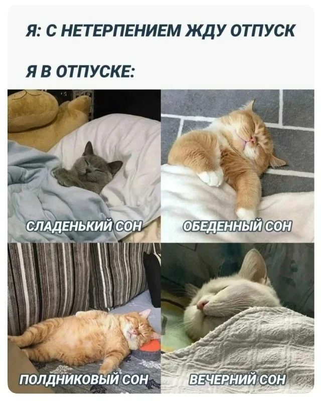 Улыбнись в понедельник: мемы и юмор на 5 октября юмор, мемы, картинки, понедельник, 5 октября