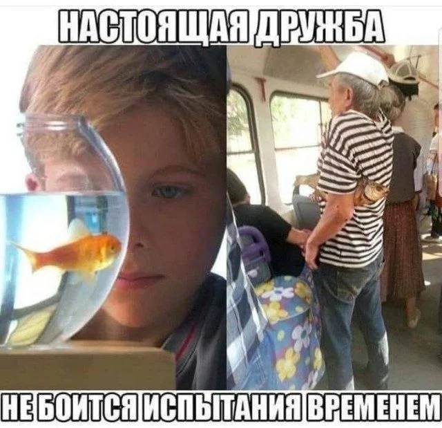 Мемы дня: когда жизнь сама придумывает шутки мемы, юмор, подборка, приколы, картинки