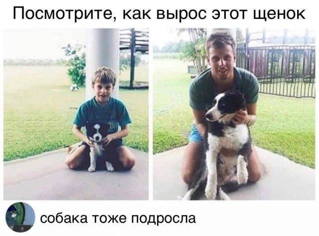 Мемы дня: когда жизнь сама придумывает шутки мемы, юмор, подборка, приколы, картинки