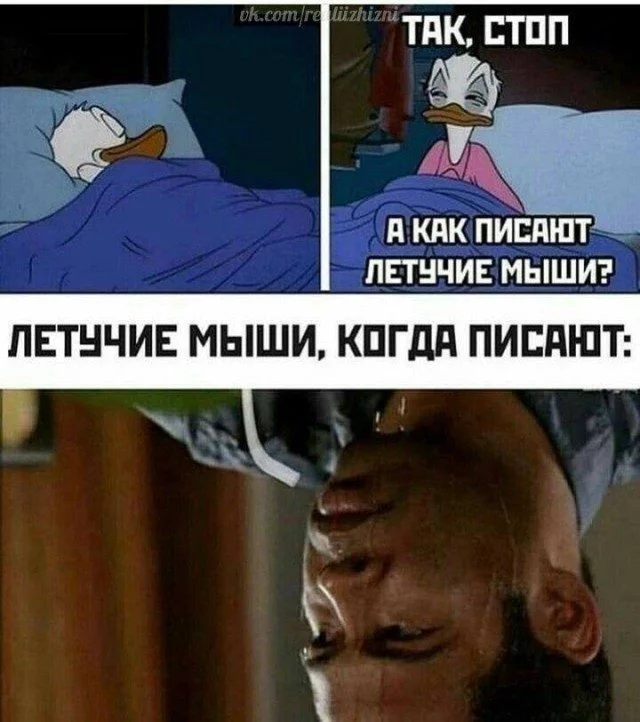 Мемы дня: когда жизнь сама придумывает шутки мемы, юмор, подборка, приколы, картинки