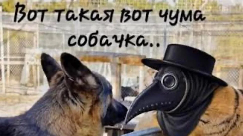Пока врачи молчат, интернет уже надел маску чумного доктора