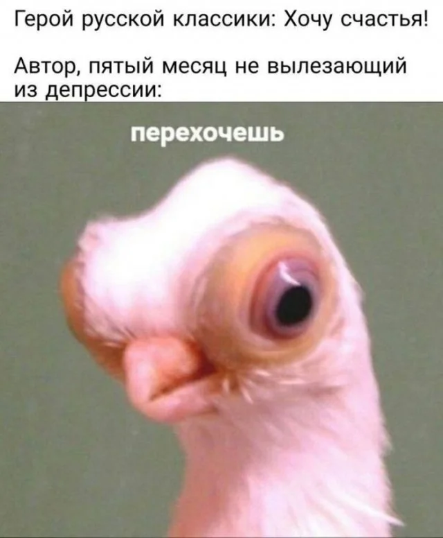 Порция отборного юмора для хорошего дня мемы, юмор, приколы, картинки, позитив