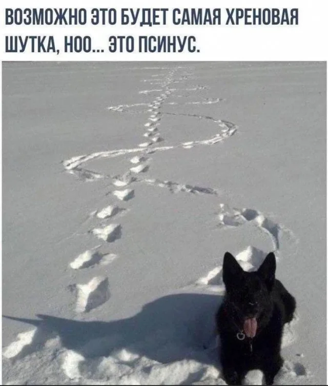 Порция отборного юмора для хорошего дня мемы, юмор, приколы, картинки, позитив