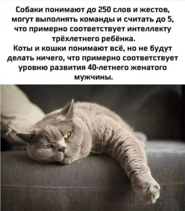 Порция отборного юмора для хорошего дня мемы, юмор, приколы, картинки, позитив