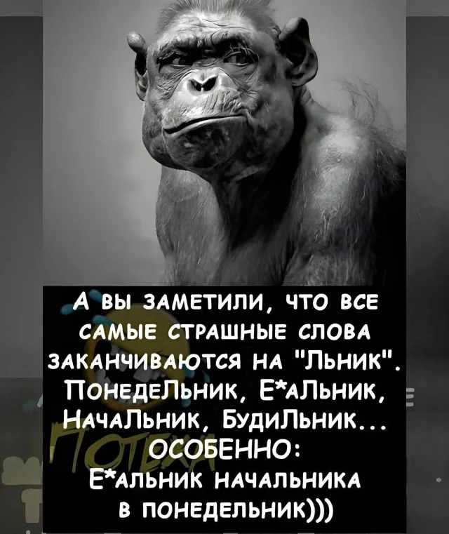 Порция отборного юмора для хорошего дня мемы, юмор, приколы, картинки, позитив