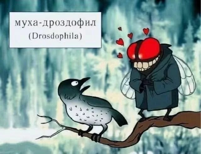 Порция отборного юмора для хорошего дня мемы, юмор, приколы, картинки, позитив