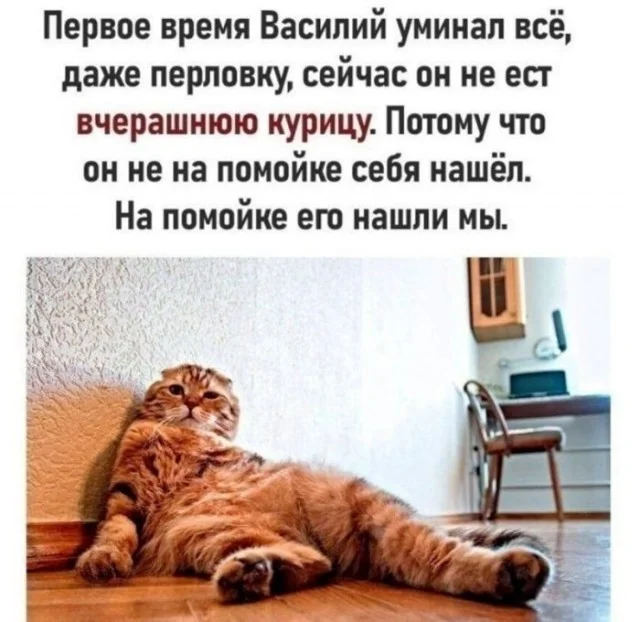 Порция отборного юмора для хорошего дня мемы, юмор, приколы, картинки, позитив
