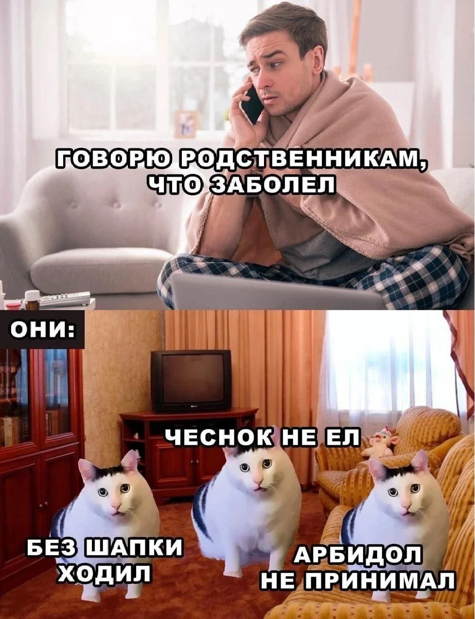 Чеснок, который рассмешит до слёз Чеснок, который рассмешит до слёз мемы, чеснок, юмор, картинки, приколы