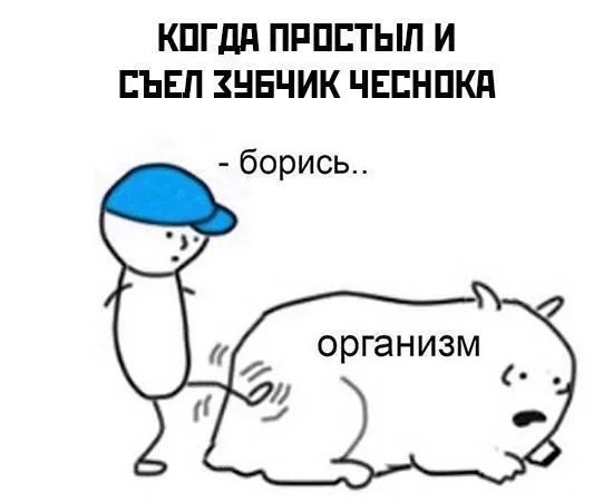 Чеснок, который рассмешит до слёз Чеснок, который рассмешит до слёз мемы, чеснок, юмор, картинки, приколы