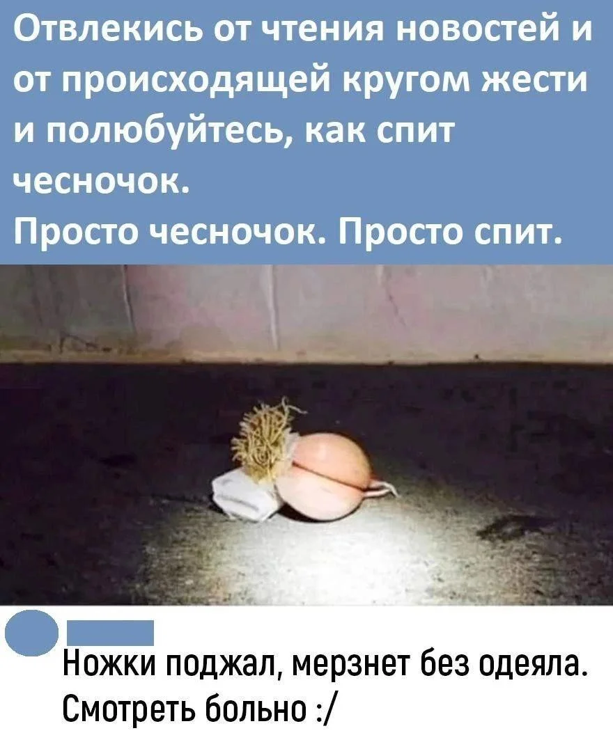 Чеснок, который рассмешит до слёз Чеснок, который рассмешит до слёз мемы, чеснок, юмор, картинки, приколы