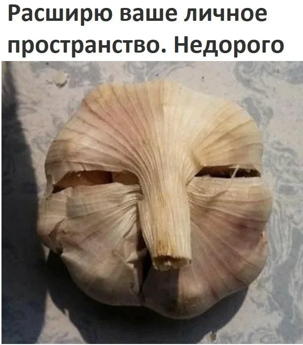 Чеснок, который рассмешит до слёз Чеснок, который рассмешит до слёз мемы, чеснок, юмор, картинки, приколы