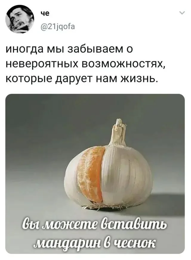 Чеснок, который рассмешит до слёз Чеснок, который рассмешит до слёз мемы, чеснок, юмор, картинки, приколы