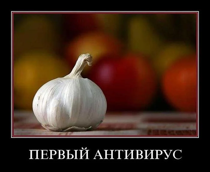 Чеснок, который рассмешит до слёз Чеснок, который рассмешит до слёз мемы, чеснок, юмор, картинки, приколы