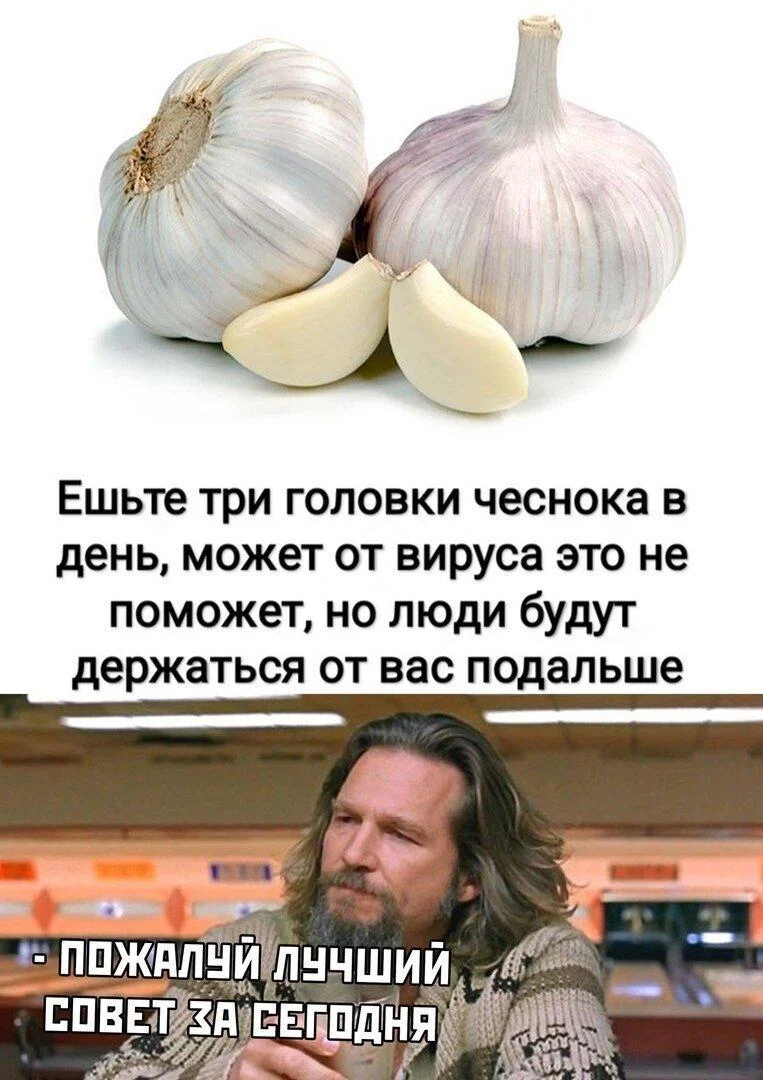 Чеснок, который рассмешит до слёз Чеснок, который рассмешит до слёз мемы, чеснок, юмор, картинки, приколы