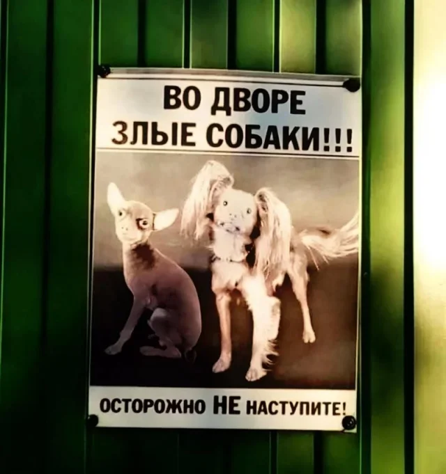Смешные картинки на утро 6 октября Смешные картинки на утро 6 октября мемы, юмор, картинки, приколы, утро, 6 октября