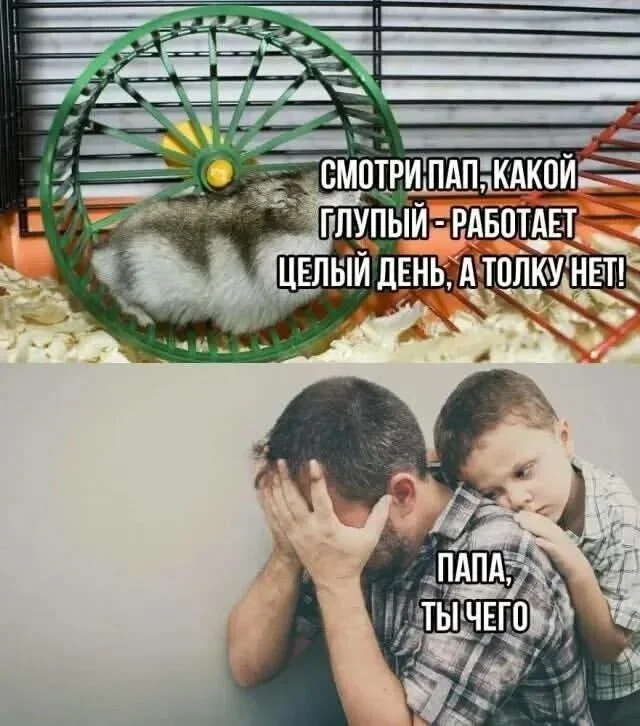 Смешные картинки на утро 6 октября Смешные картинки на утро 6 октября мемы, юмор, картинки, приколы, утро, 6 октября
