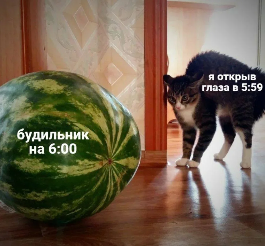 Мемы про работу: когда гибкий график гнется только в одну сторону мемы, работа, офис, юмор, дедлайны, картинки