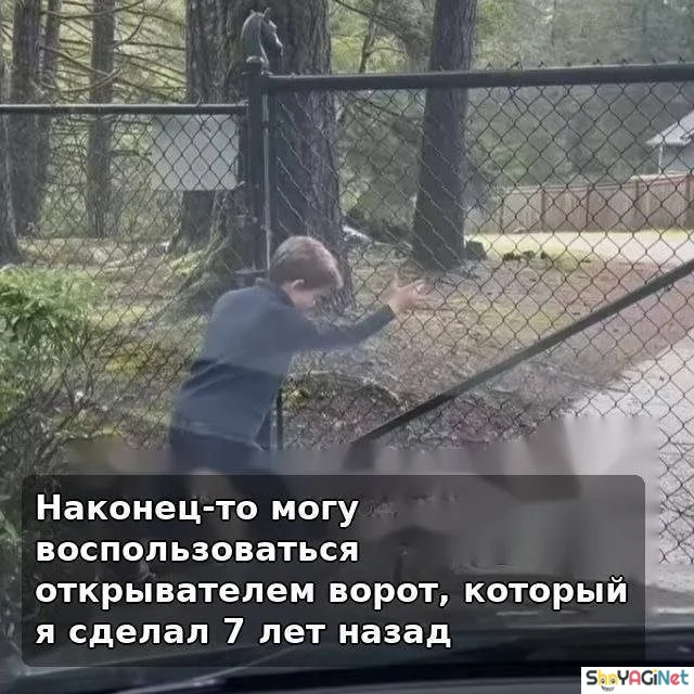 Угарная двадцатка: лучшие приколы октября приколы, мемы, октябрь, юмор, картинки