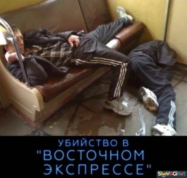 Угарная двадцатка: лучшие приколы октября приколы, мемы, октябрь, юмор, картинки
