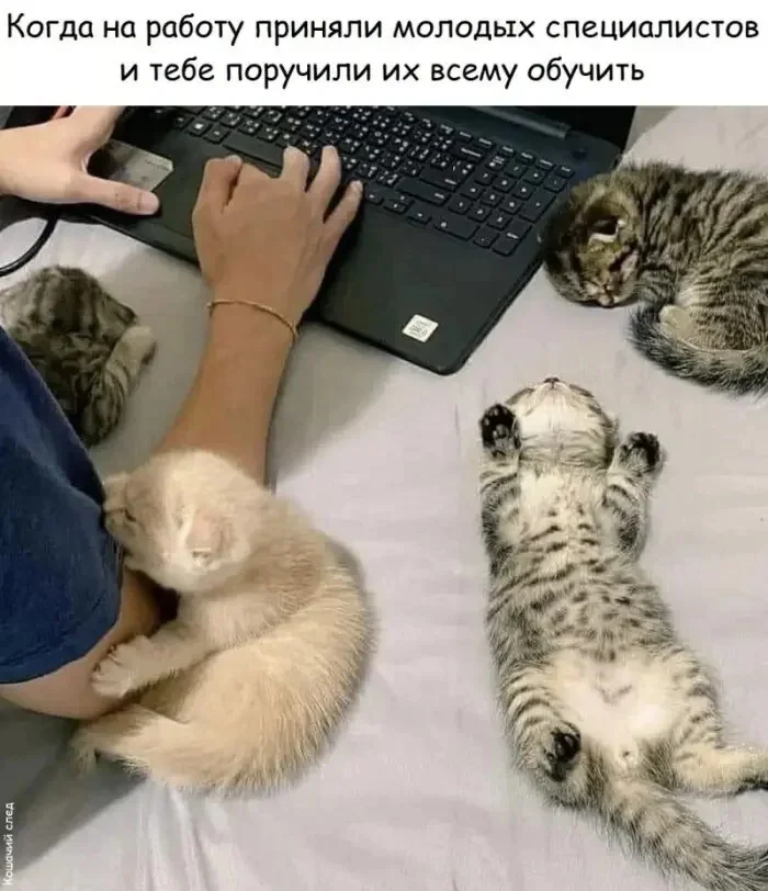 Не образец для подражания подборка, фото, юмор, антипример, курьезы