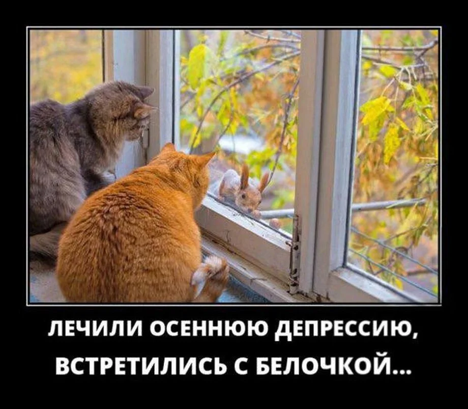 Когда сын стал твоим наставником Когда сын стал твоим наставником юмор, семья, мемы, картинки, родители и дети, приколы