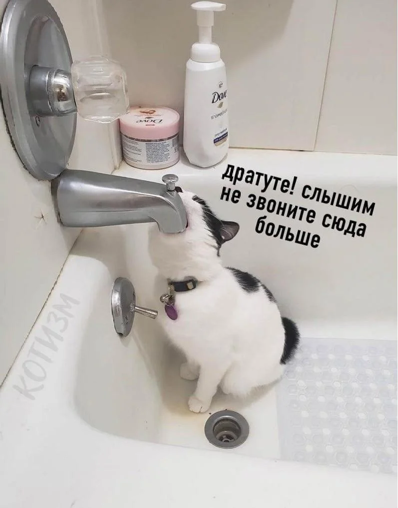 Мемы про ванну: 35 картинок для хорошего настроения ванна, мемы, картинки, юмор, смешное, водные процедуры, день ванны