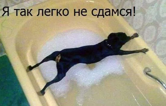 Мемы про ванну: 35 картинок для хорошего настроения ванна, мемы, картинки, юмор, смешное, водные процедуры, день ванны