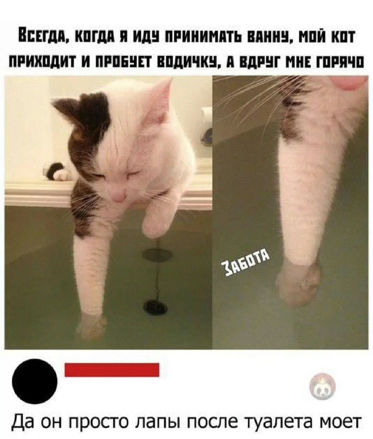 Мемы про ванну: 35 картинок для хорошего настроения ванна, мемы, картинки, юмор, смешное, водные процедуры, день ванны