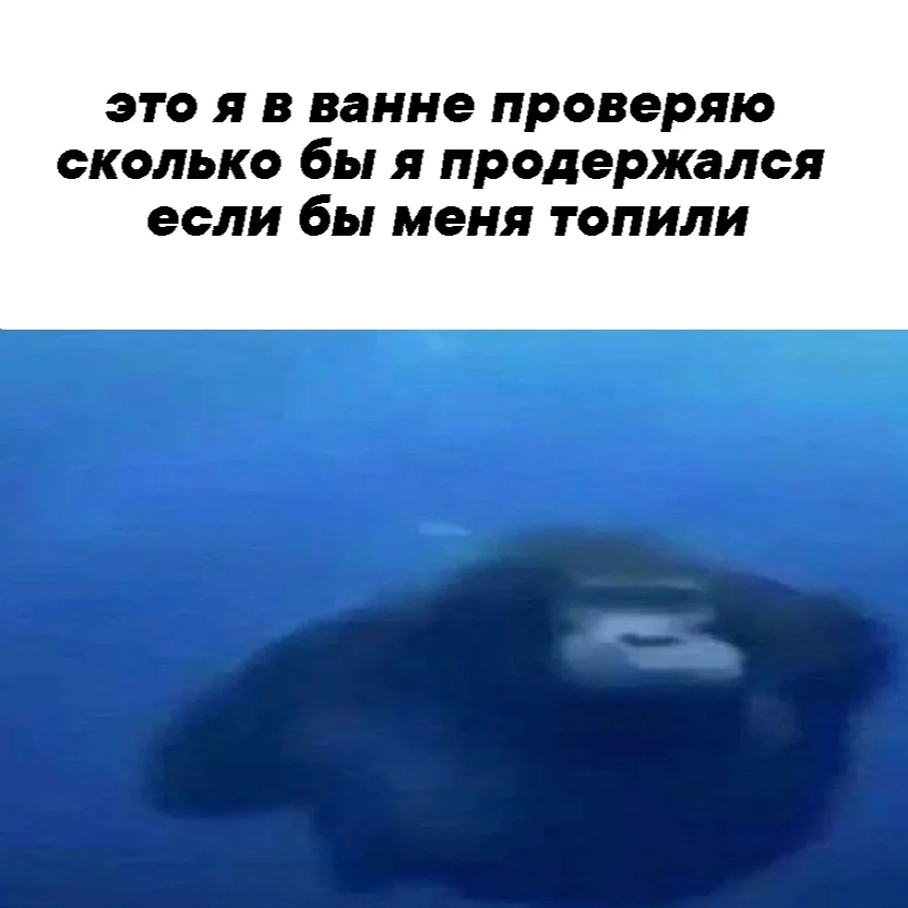 Мемы про ванну: 35 картинок для хорошего настроения ванна, мемы, картинки, юмор, смешное, водные процедуры, день ванны