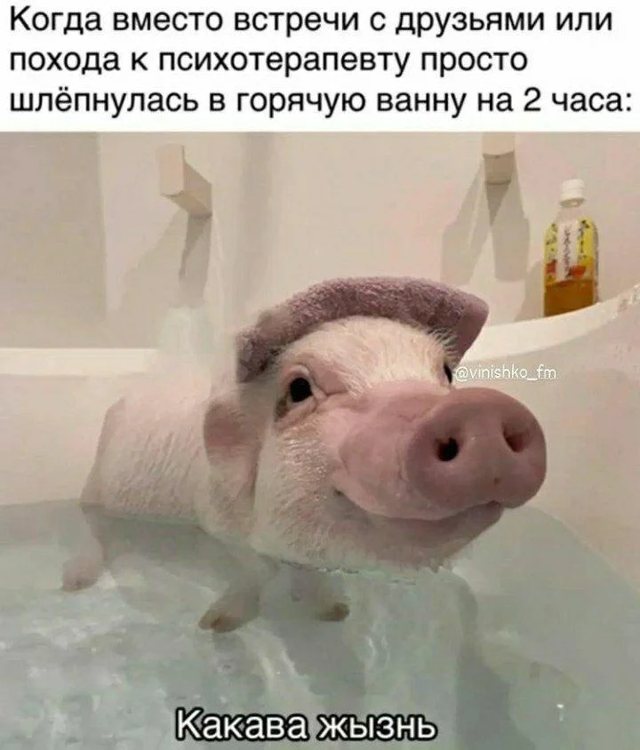 Мемы про ванну: 35 картинок для хорошего настроения ванна, мемы, картинки, юмор, смешное, водные процедуры, день ванны