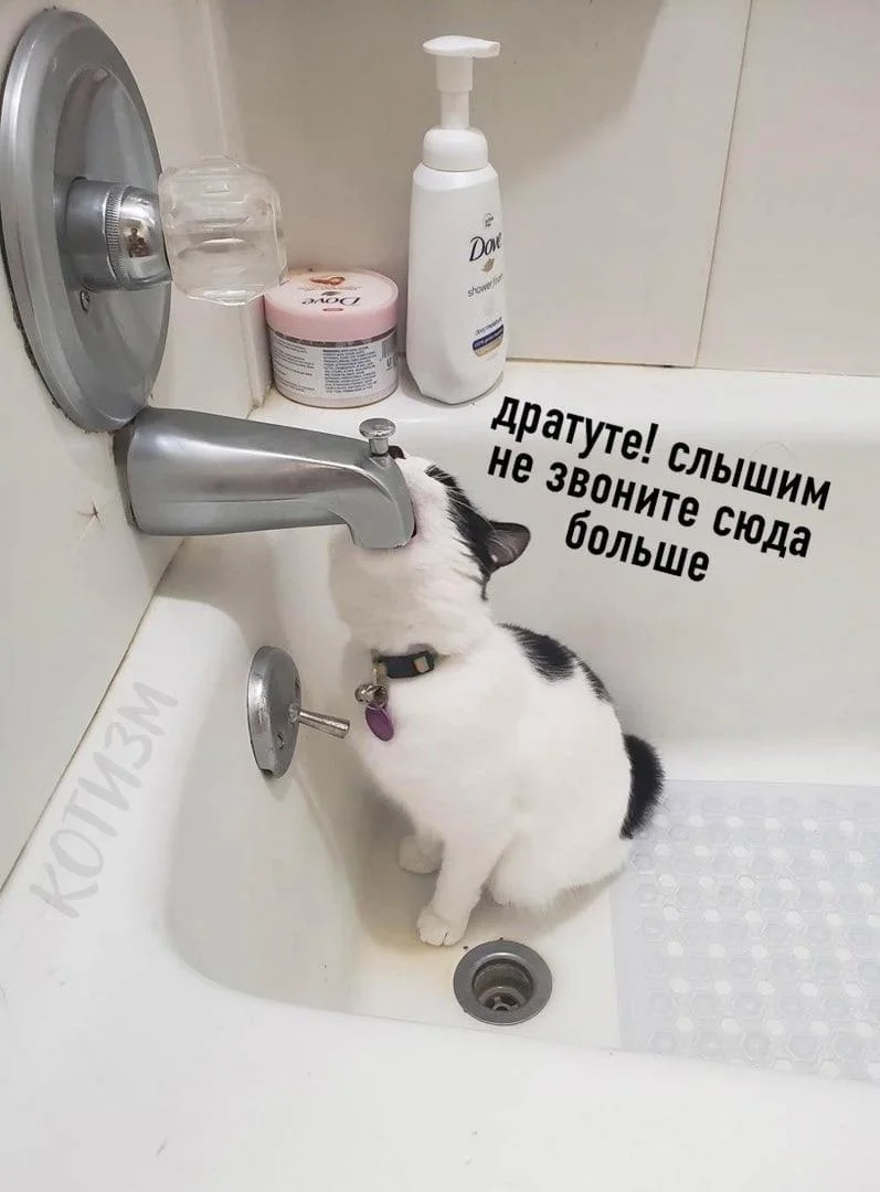 Мемы про ванну: 35 картинок для хорошего настроения ванна, мемы, картинки, юмор, смешное, водные процедуры, день ванны