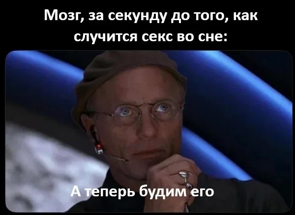 Мемы на 7 октября: осенний юмор и коты мемы, юмор, картинки, подборка, осень