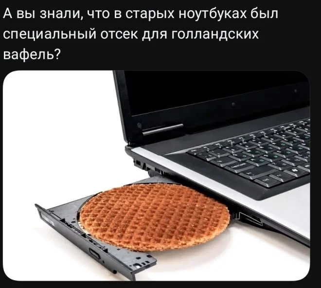 Мемы на 7 октября: осенний юмор и коты мемы, юмор, картинки, подборка, осень