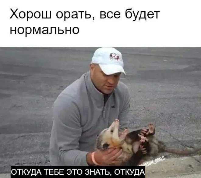 Мемы на 7 октября: осенний юмор и коты мемы, юмор, картинки, подборка, осень