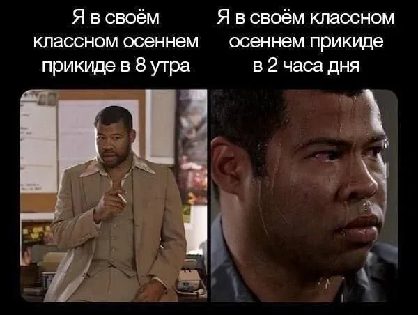 Мемы на 7 октября: осенний юмор и коты мемы, юмор, картинки, подборка, осень