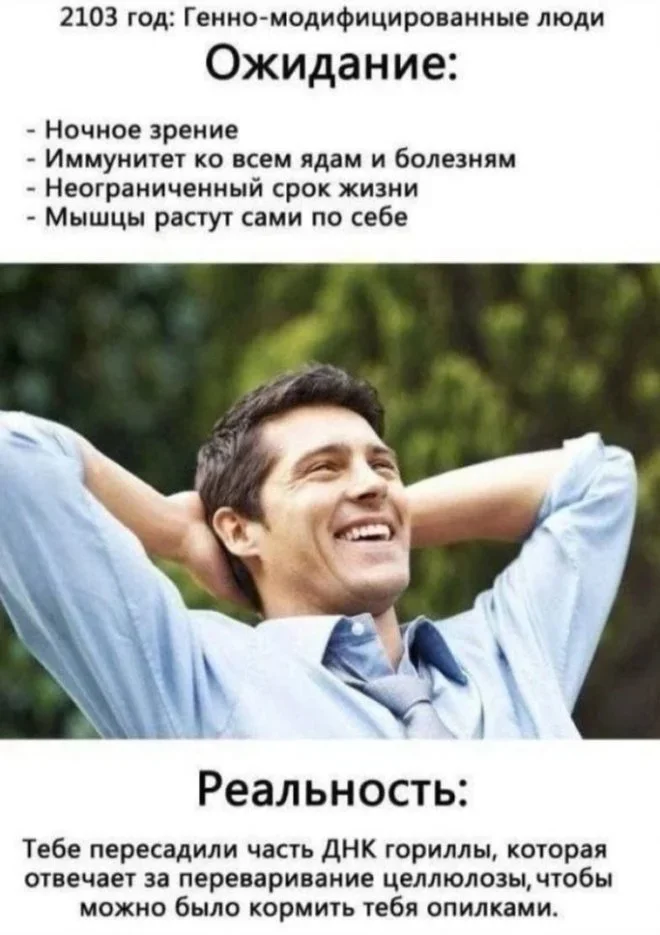 Мемы на 7 октября: осенний юмор и коты мемы, юмор, картинки, подборка, осень