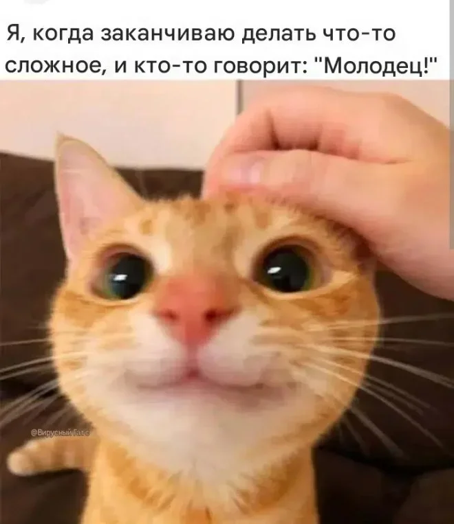 Мемы на 7 октября: осенний юмор и коты мемы, юмор, картинки, подборка, осень