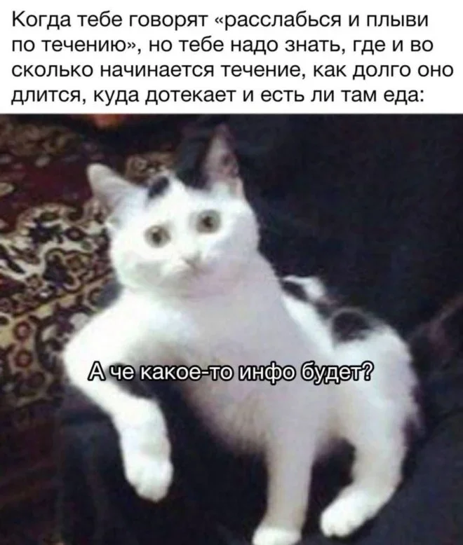 Мемы на 7 октября: осенний юмор и коты мемы, юмор, картинки, подборка, осень