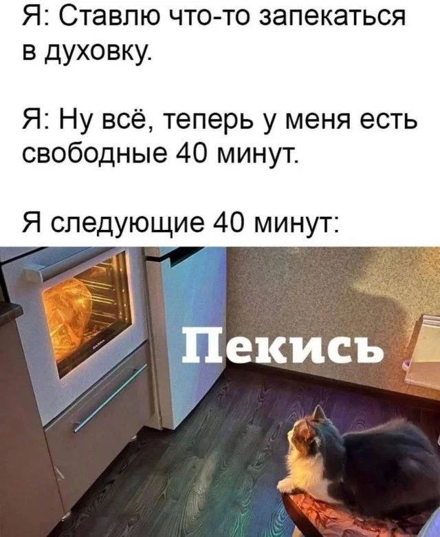 Жизнь как мем: картинки, в которых ты узнаешь себя Жизнь как мем: картинки, в которых ты узнаешь себя мемы, приколы, картинки, юмор, работа, быт, подборка