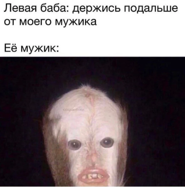 Жизнь как мем: картинки, в которых ты узнаешь себя Жизнь как мем: картинки, в которых ты узнаешь себя мемы, приколы, картинки, юмор, работа, быт, подборка