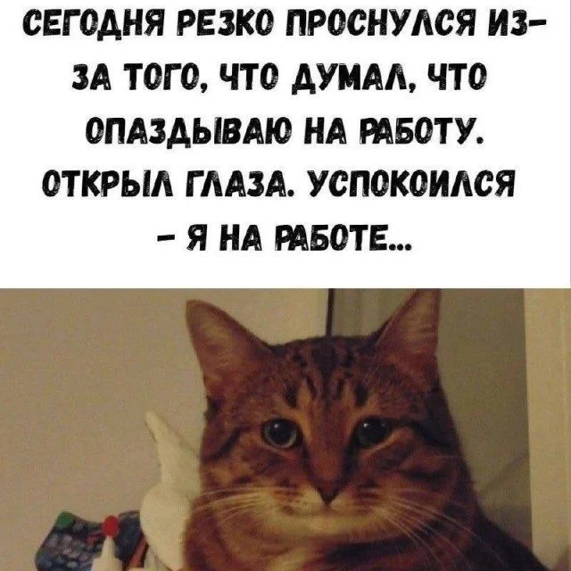 Жизнь как мем: картинки, в которых ты узнаешь себя Жизнь как мем: картинки, в которых ты узнаешь себя мемы, приколы, картинки, юмор, работа, быт, подборка