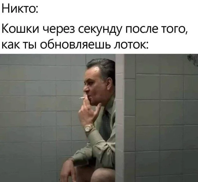 Жизнь как мем: картинки, в которых ты узнаешь себя Жизнь как мем: картинки, в которых ты узнаешь себя мемы, приколы, картинки, юмор, работа, быт, подборка