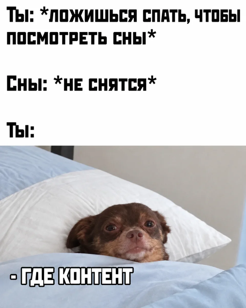 Порция смеха: квартирный вопрос, авто и дачные истории