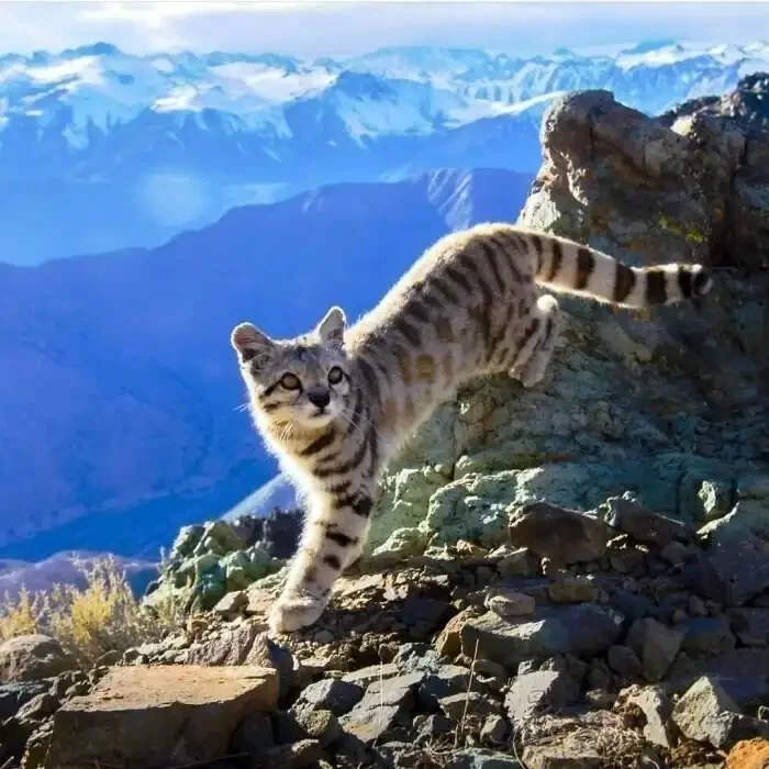 Природа умеет удивлять: 30 кадров, от которых захватывает дух природа, животные, фотографии, подборка, красота, дикая природа, пейзажи, редкие кадры
